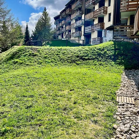 Bel Cosy Pied Des Pistes Avec Local La Plagne